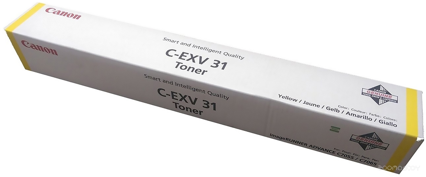 C-EXV 31 Y