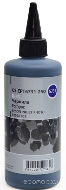 CS-EPT6731-250