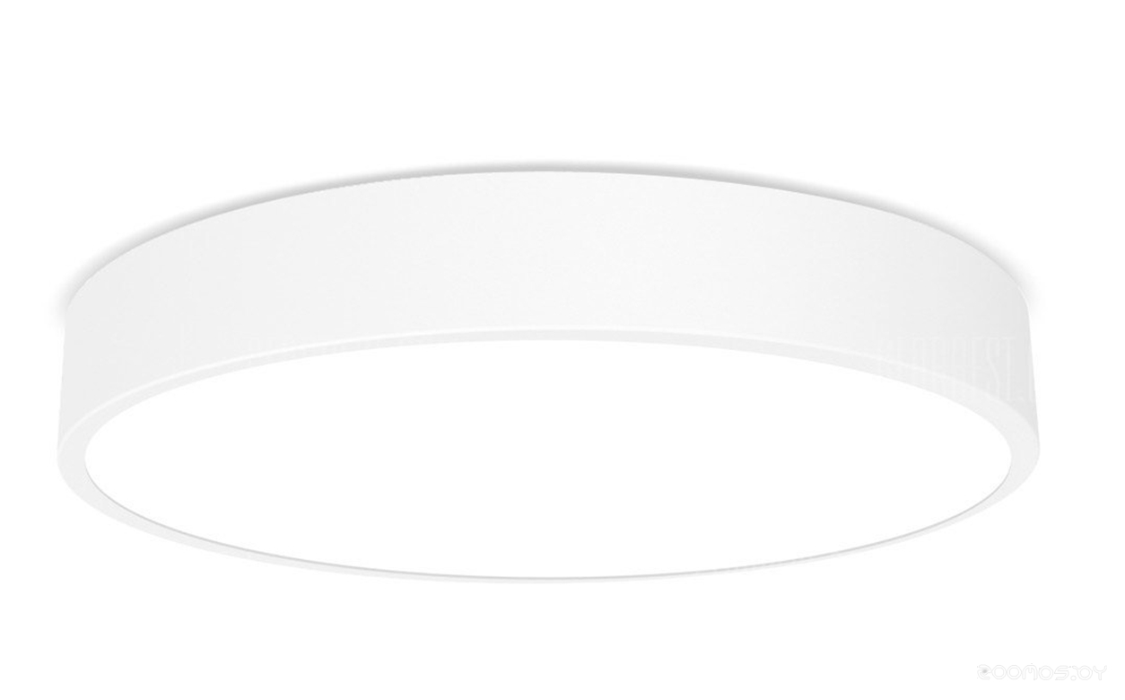 LED Ceiling Light 260