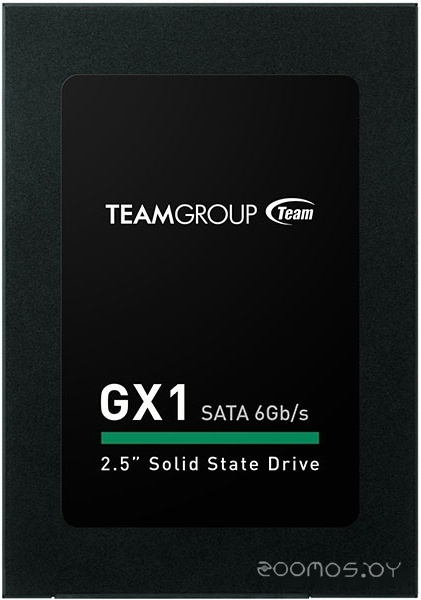 GX1 480GB T253X1480G0C101