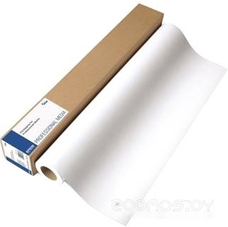 Presentation Paper HiRes (120) 36" x 30м (C13S045288)