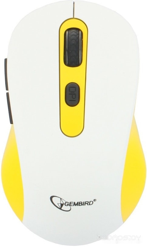 MUSW-221-Y