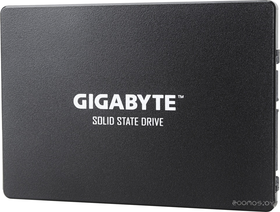 1TB GP-GSTFS31100TNTD