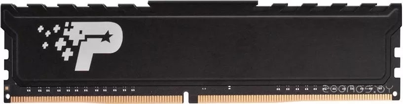Signature Premium Line 8GB DDR4 PC4-25600 PSP48G320081H1