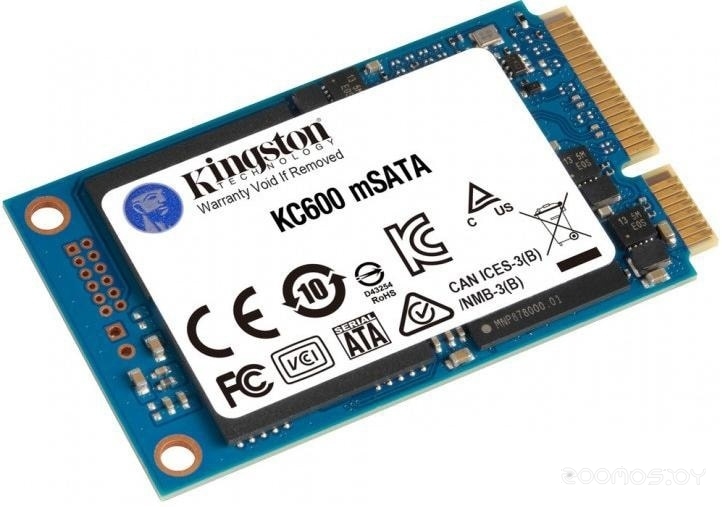 KC600 256GB SKC600MS/256G