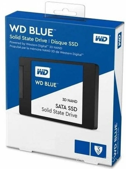 Blue SA510 250GB WDS250G3B0A