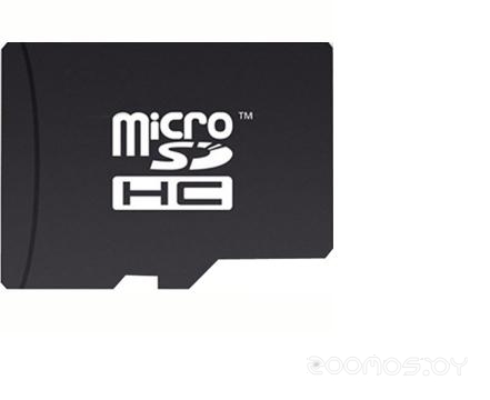 microSDHC Class 4 + SD adapter (2 Gb)