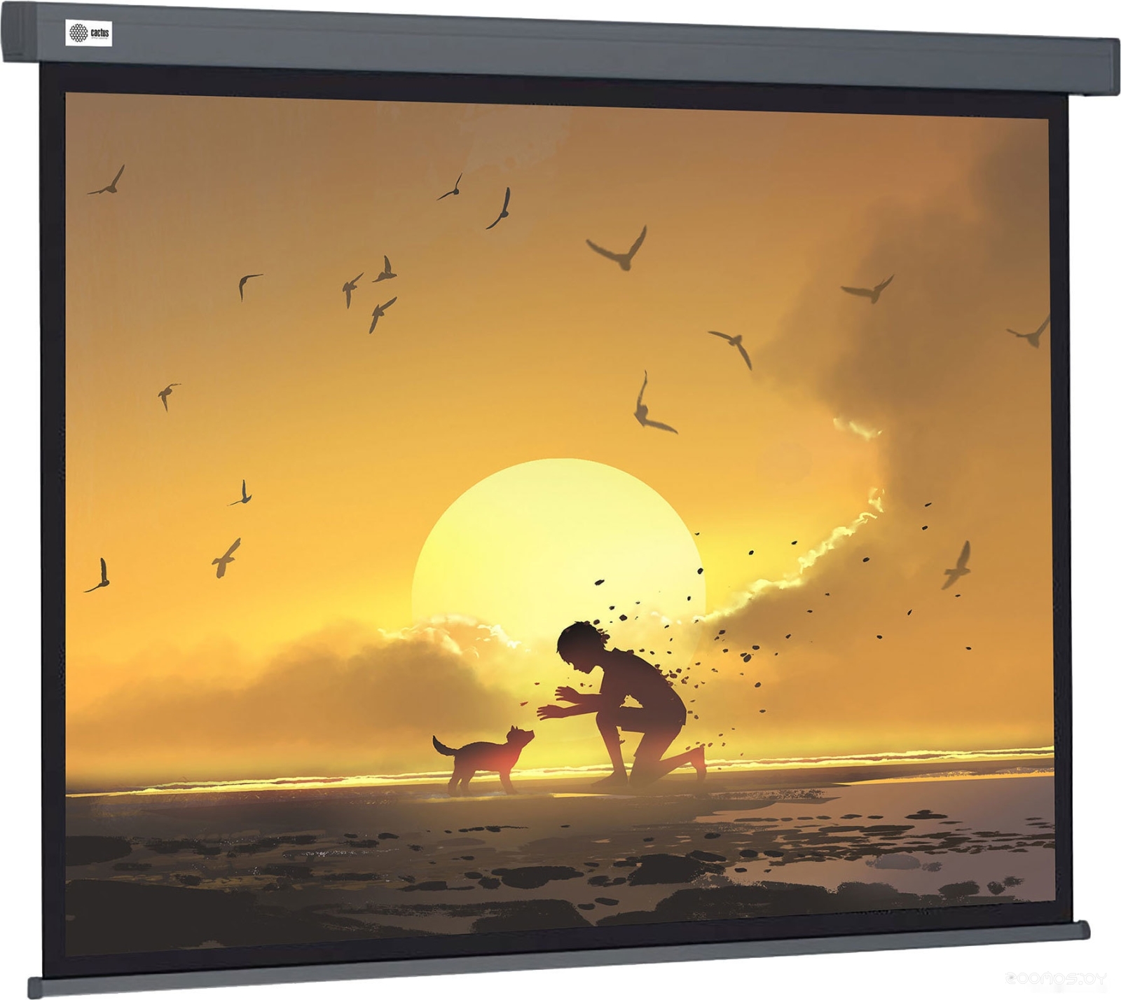 Wallscreen 124x221 CS-PSW-124X221-SG