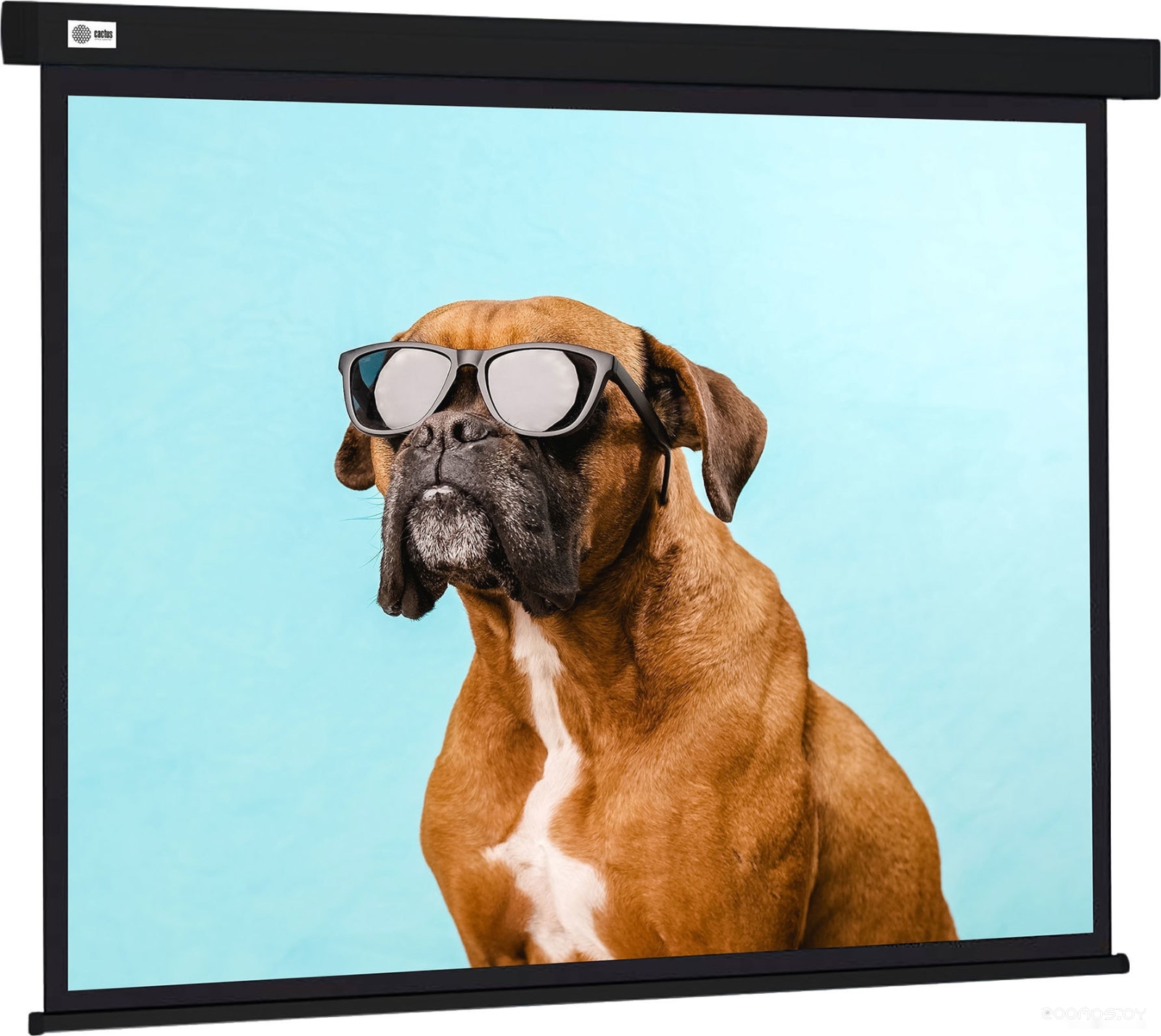 Wallscreen 183x244 CS-PSW-183X244-BK