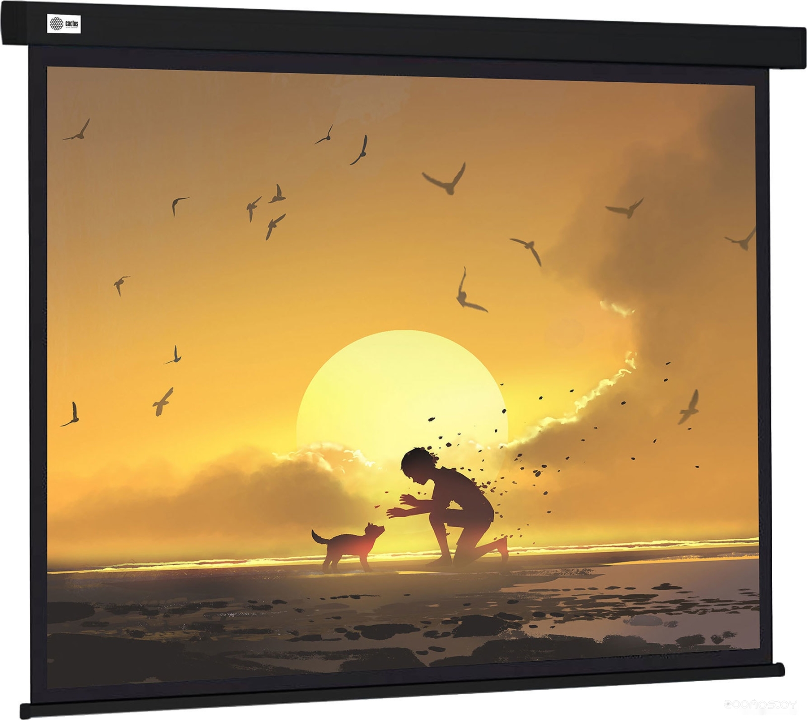 Wallscreen 150x150 CS-PSW-150X150-BK