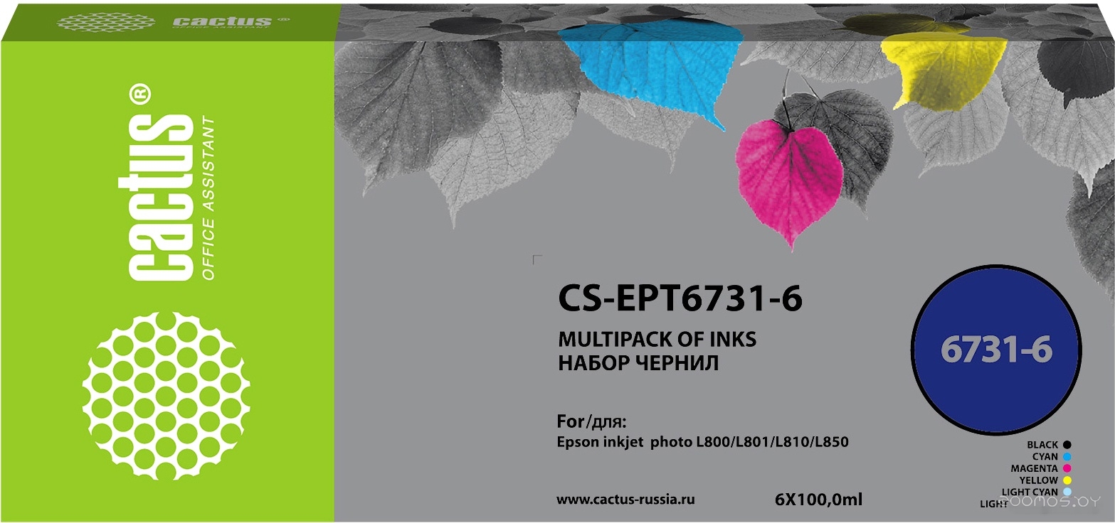 CS-EPT6731-6