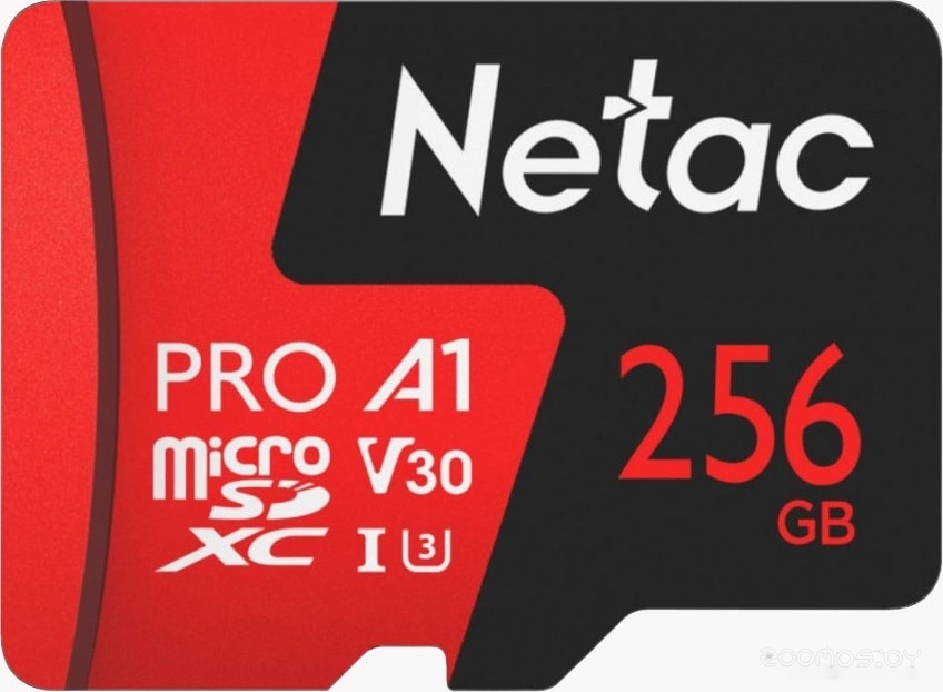 P500 Extreme Pro 256GB NT02P500PRO-256G-S