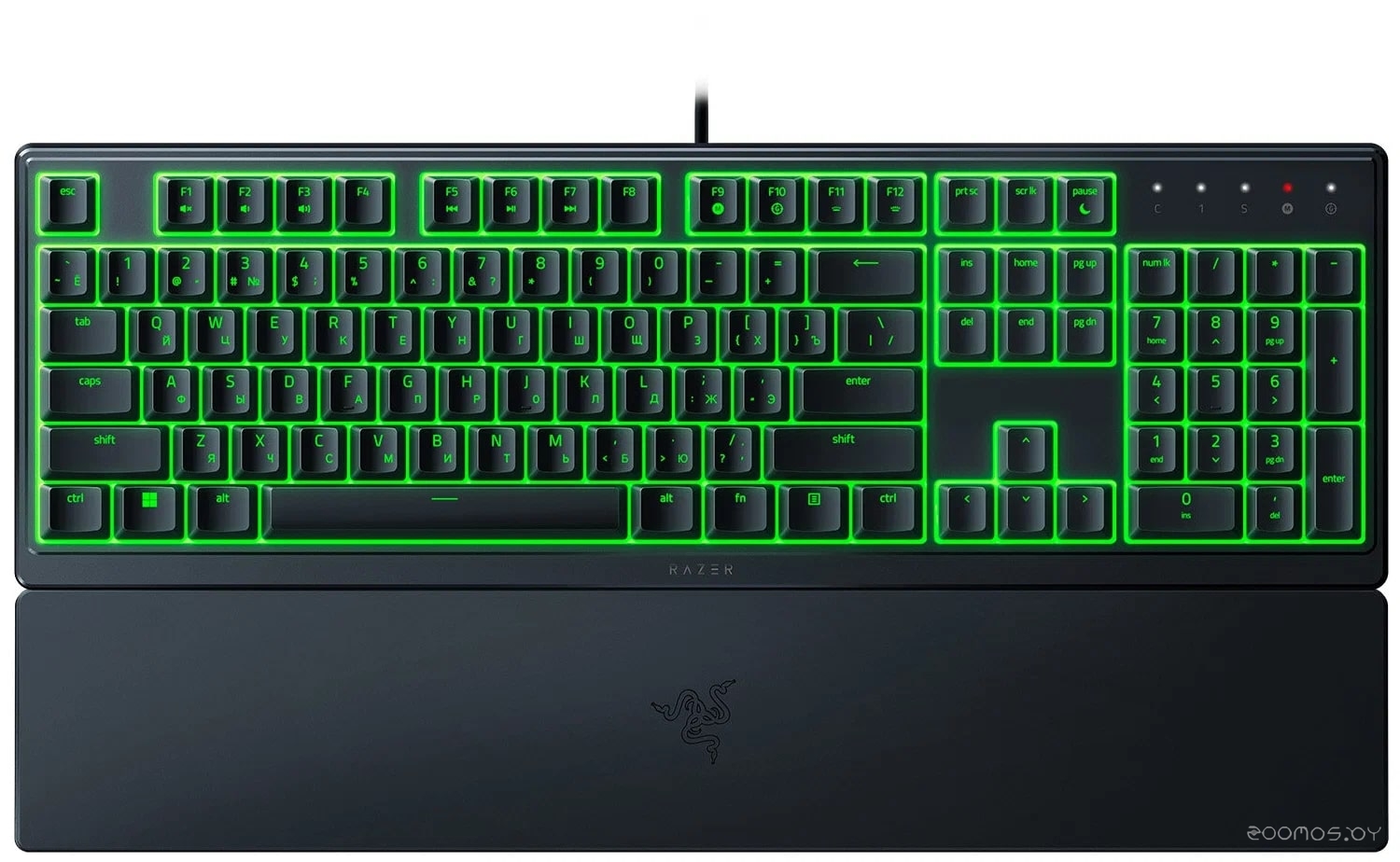 Ornata V3 X