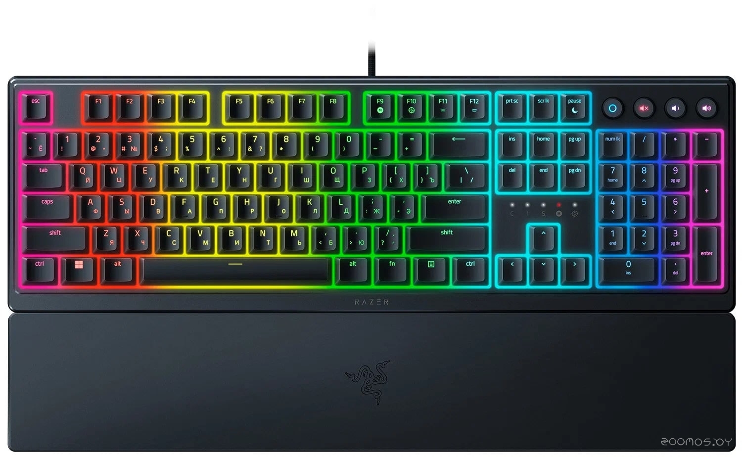 Ornata V3