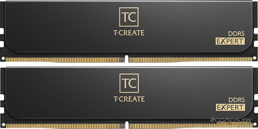 T-Create Expert 2x32ГБ DDR5 6000 МГц CTCED564G6000HC34BDC01