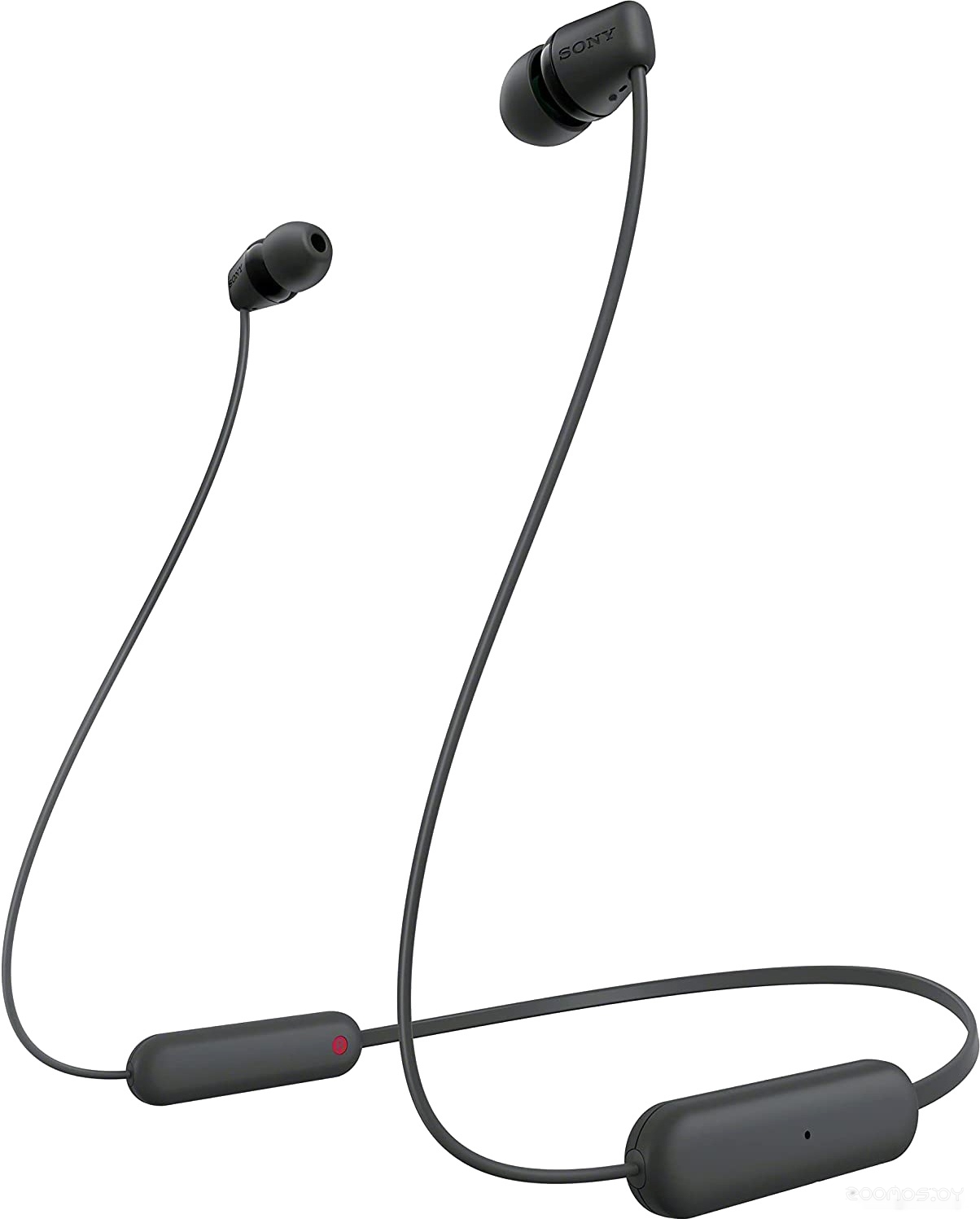 WI-C100 (черный)