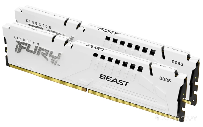 FURY Beast 2x16ГБ DDR5 5600МГц KF556C40BWK2-32