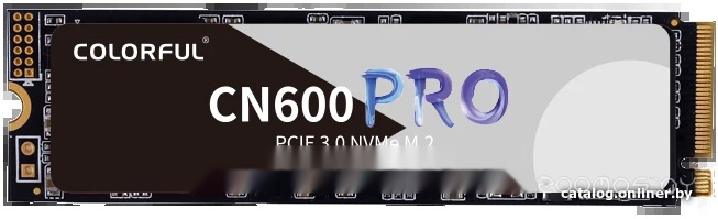CN600 Pro 256GB