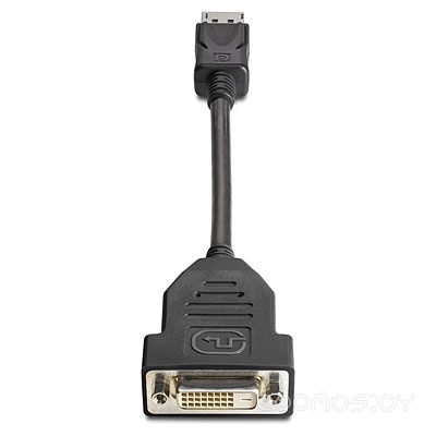 DisplayPort To DVI-D Adapter (FH973AA)