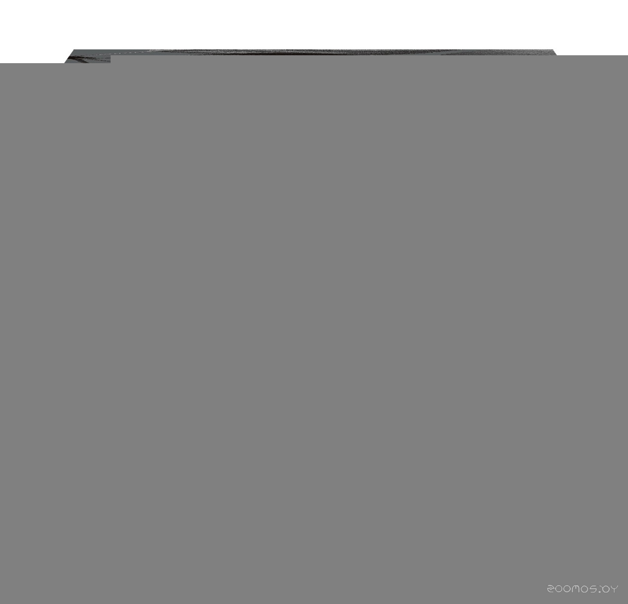 CS-DK11202 (аналог Brother DK-11202)