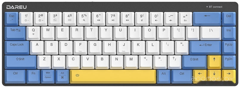 EK868 (Kaihl Brown, White-Blue-Yellow)