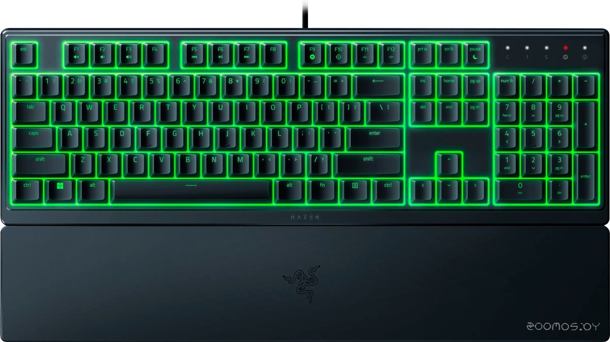 Ornata V3 X (нет кириллицы)