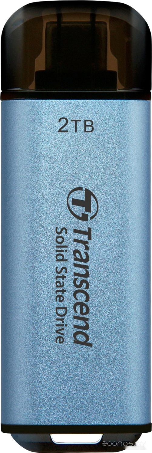 ESD300 2TB TS2TESD300C