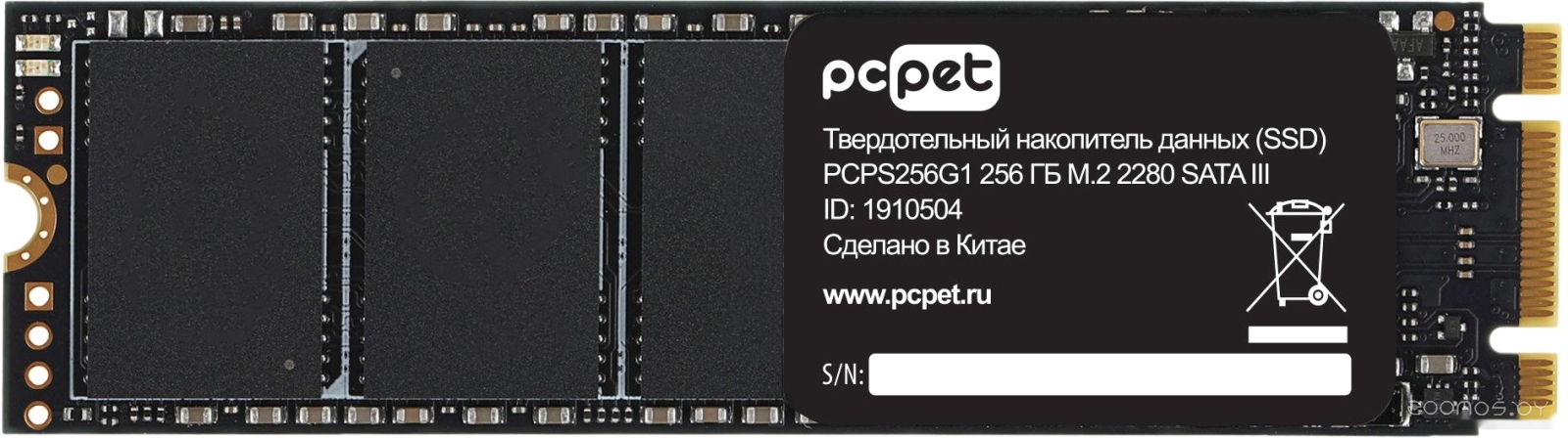 256GB PCPS256G1
