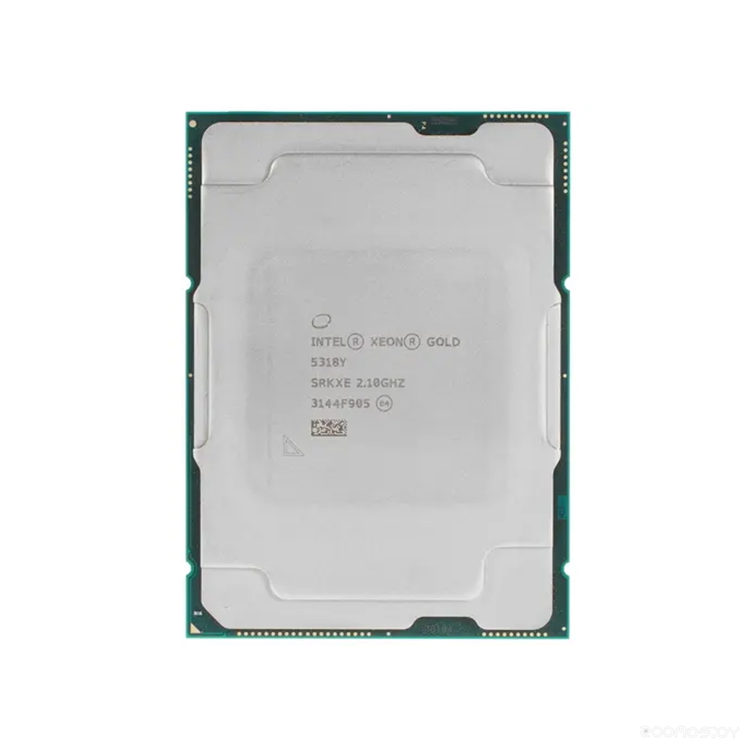 Xeon Gold 5318Y