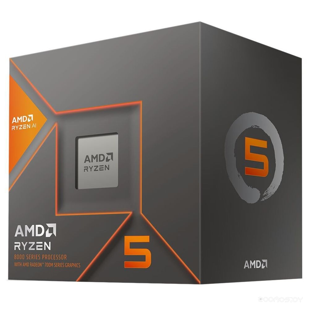 RYZEN 5 8600G (BOX)
