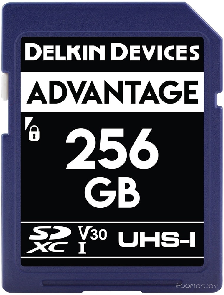 SDXC Advantage UHS-I 256GB