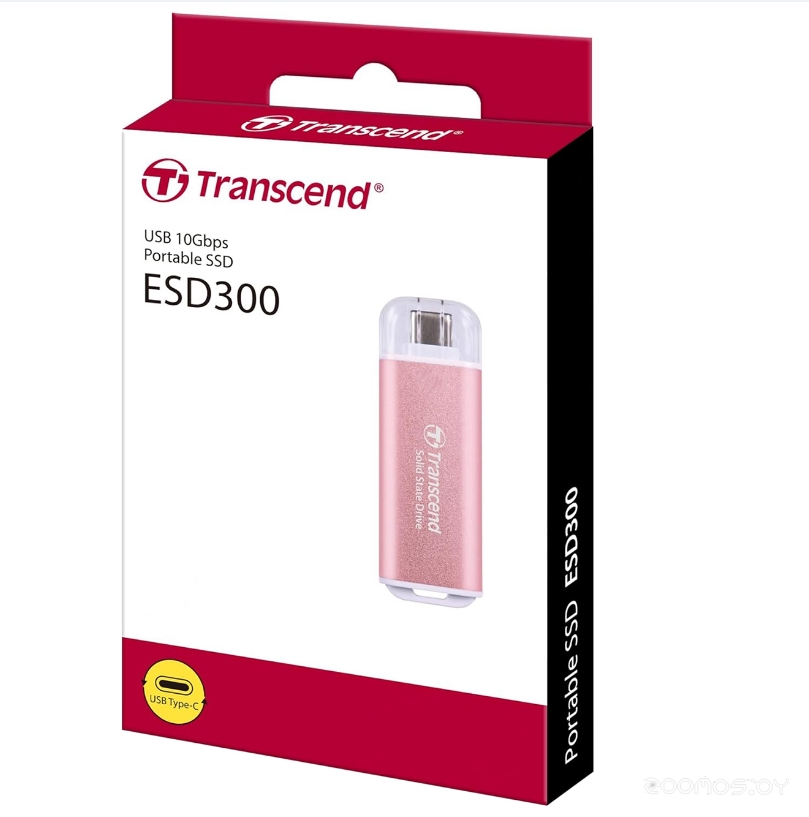 ESD300 1TB TS1TESD300P