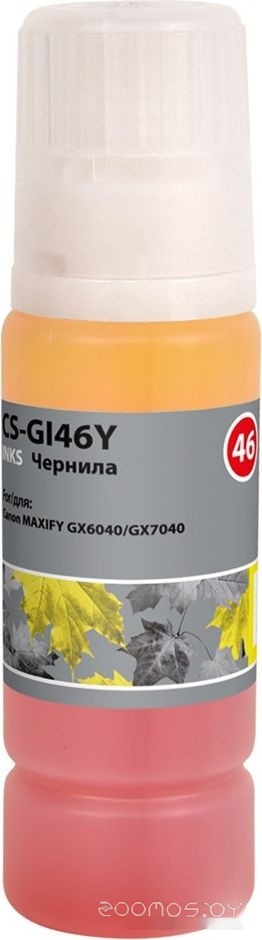 CS-GI46Y