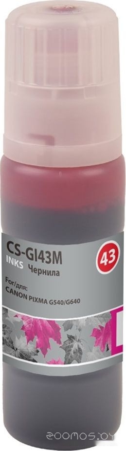 CS-GI43M