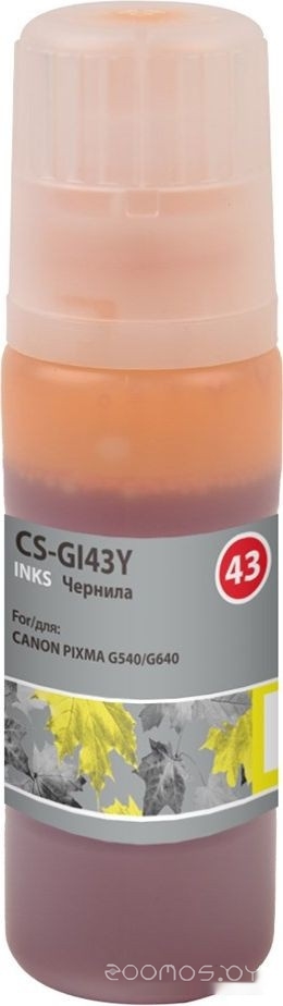 CS-GI43Y