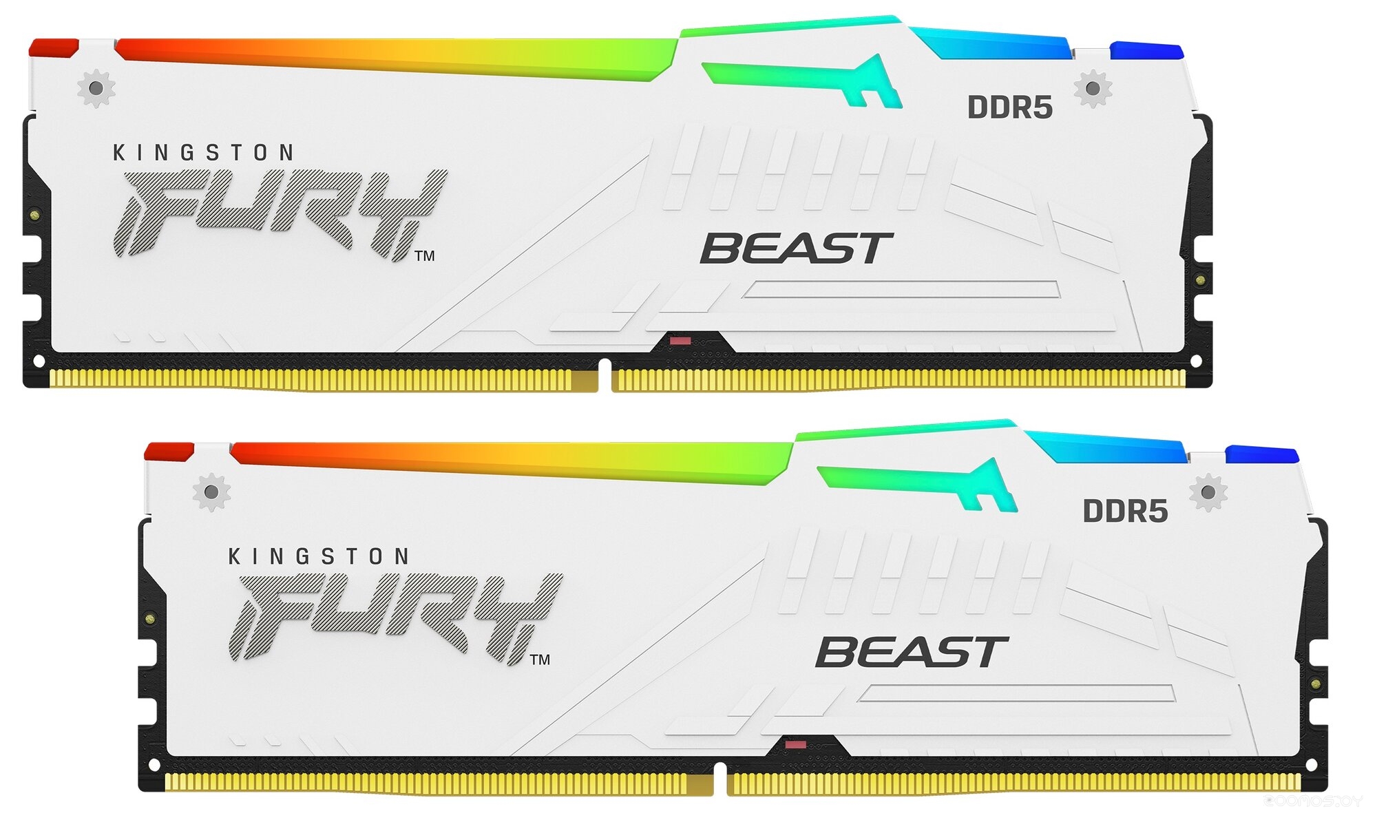 FURY Beast RGB 2x16ГБ DDR5 5600 МГц KF556C40BWAK2-32