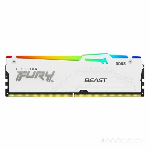 FURY Beast RGB 32ГБ DDR5 5600 МГц KF556C36BWEA-32
