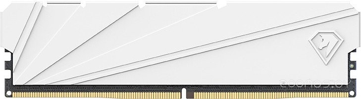 Shadow S 16ГБ DDR4 3200 МГц NTSSD4P32SP-16W