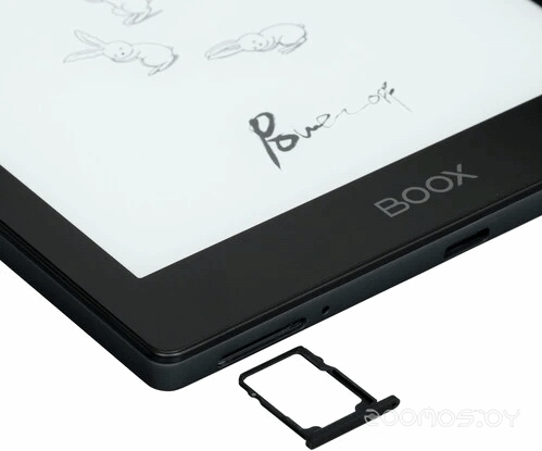 BOOX Go 6