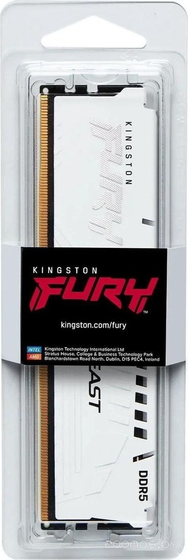FURY Beast 16ГБ DDR5 5600 МГц KF556C36BWE-16