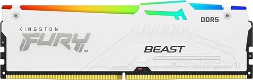 FURY Beast RGB 16ГБ DDR5 6000 МГц KF560C36BWE2A-16
