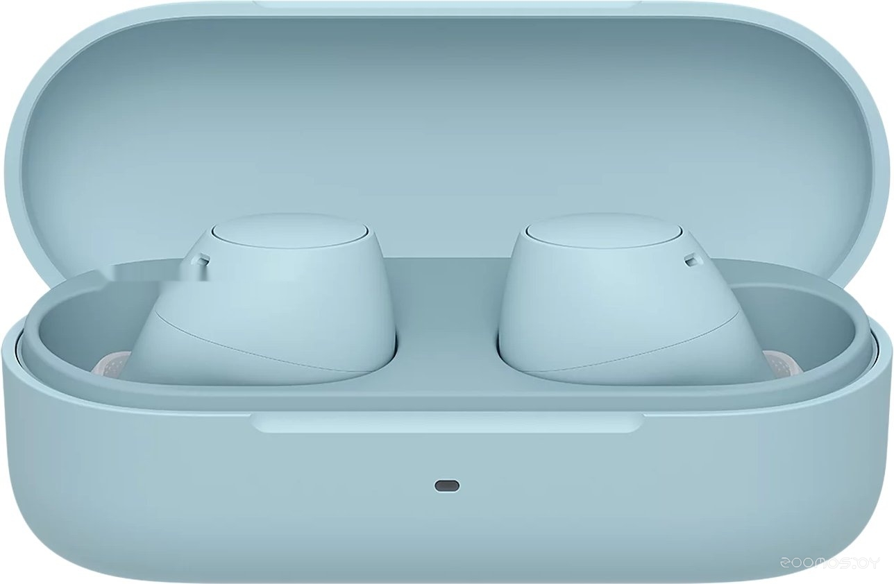 WF-C510 (голубой)