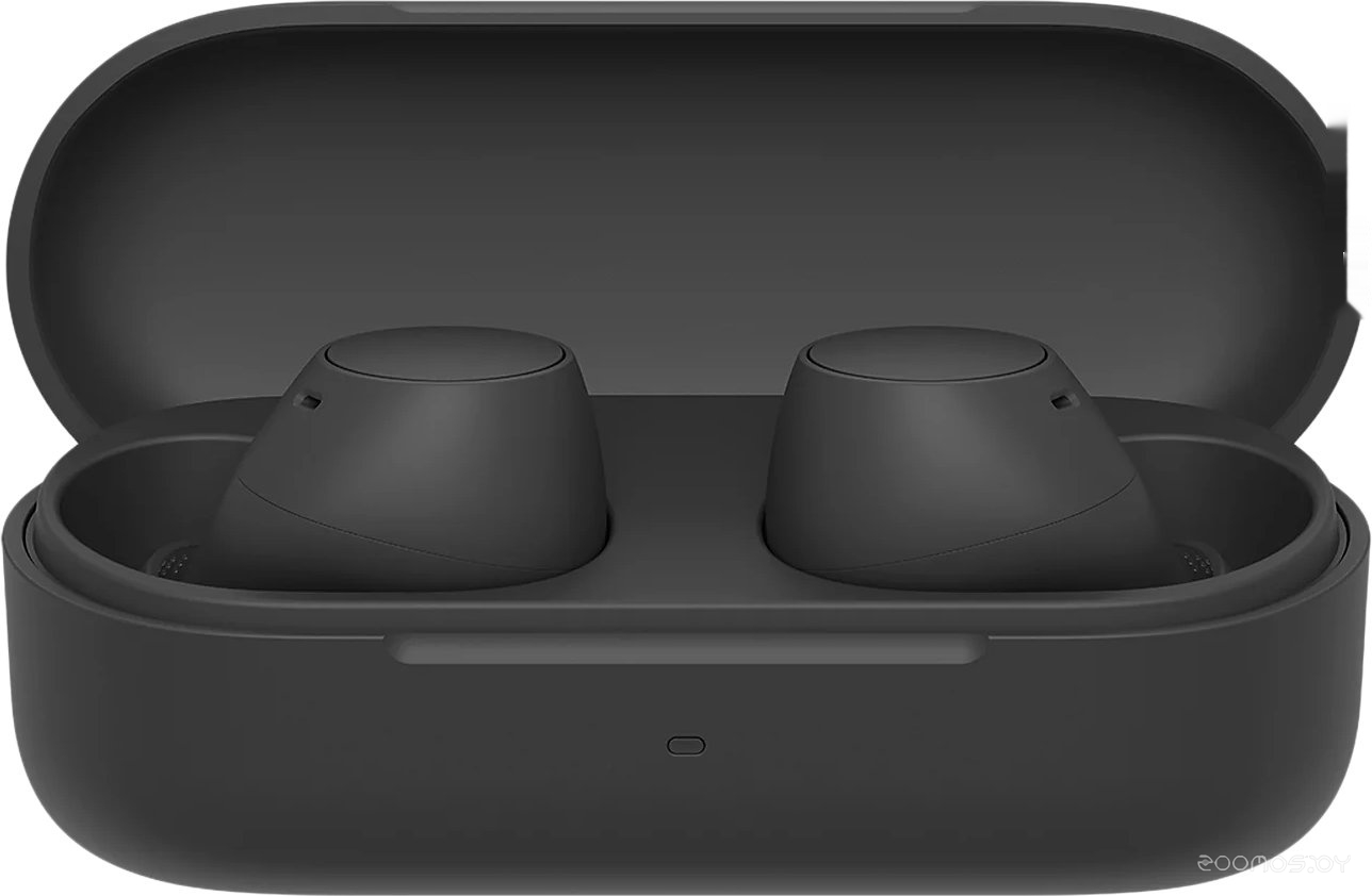 WF-C510 (черный)