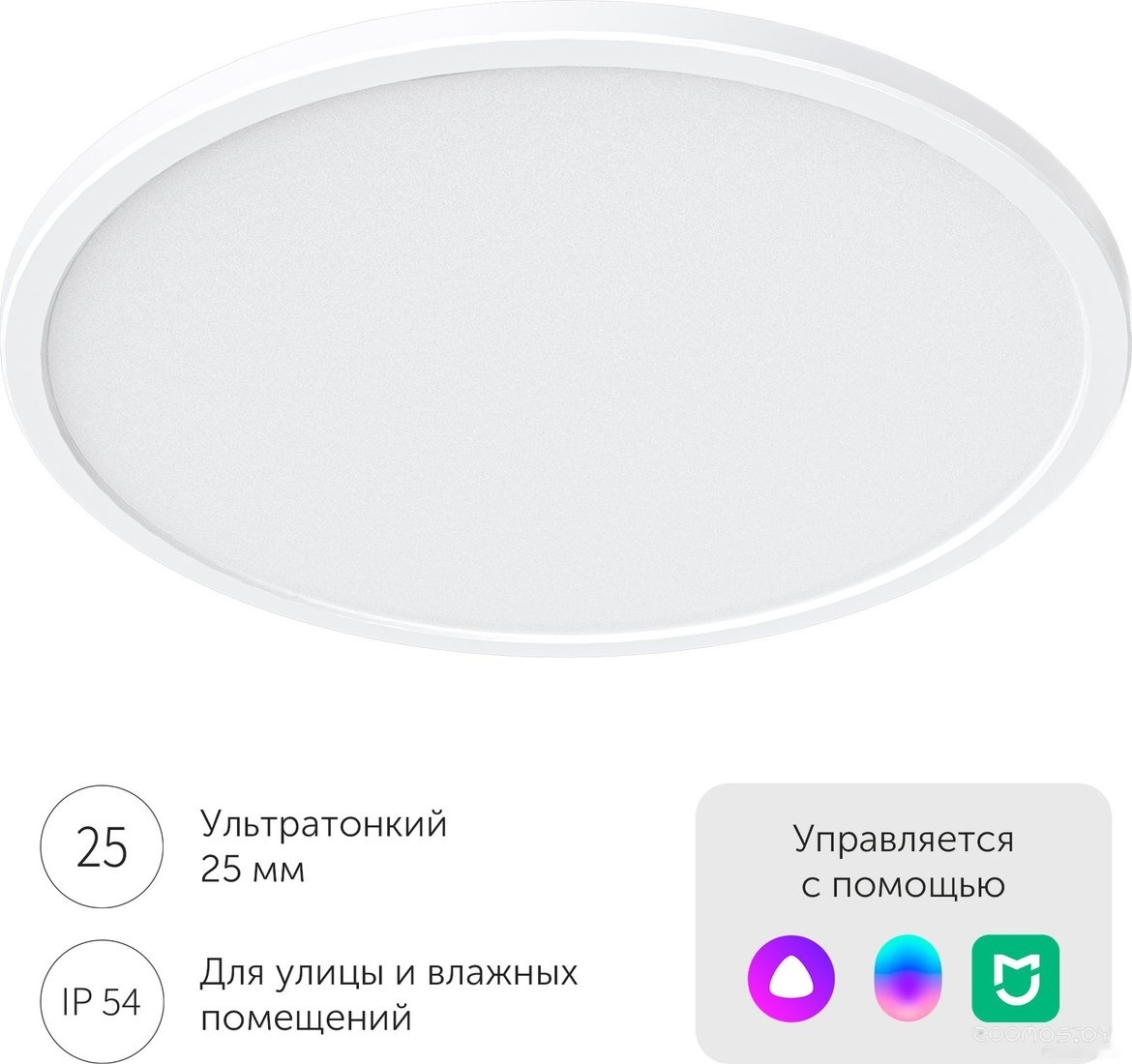 Comet Ceiling Light C235