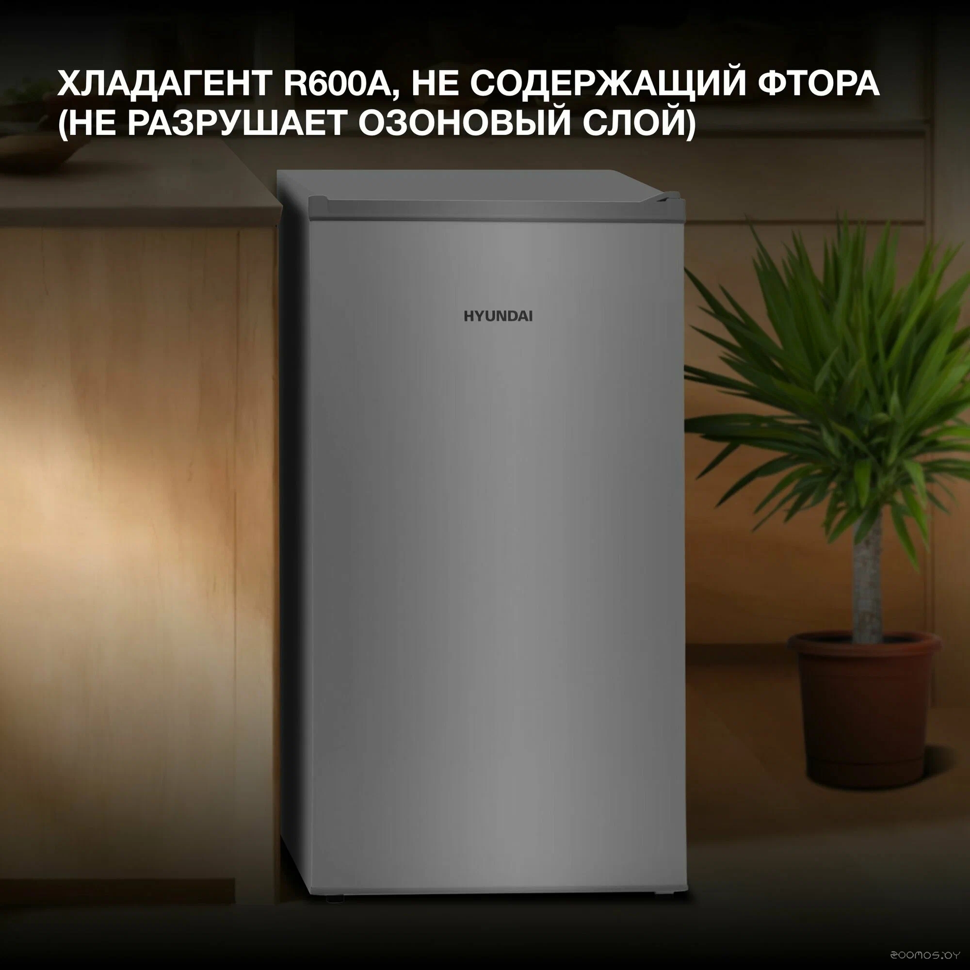 CO10031H серебристый