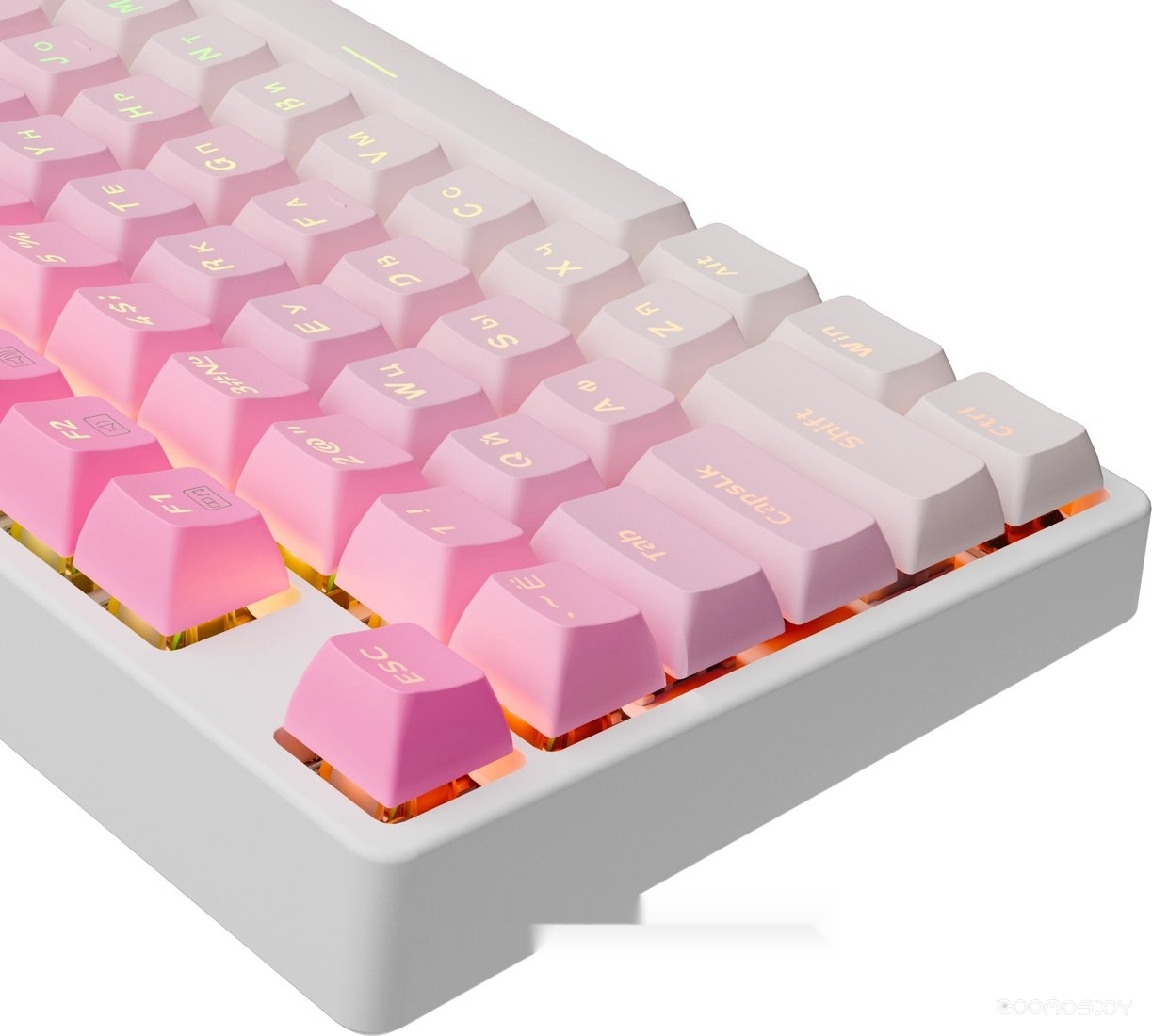 Cass (розовый)