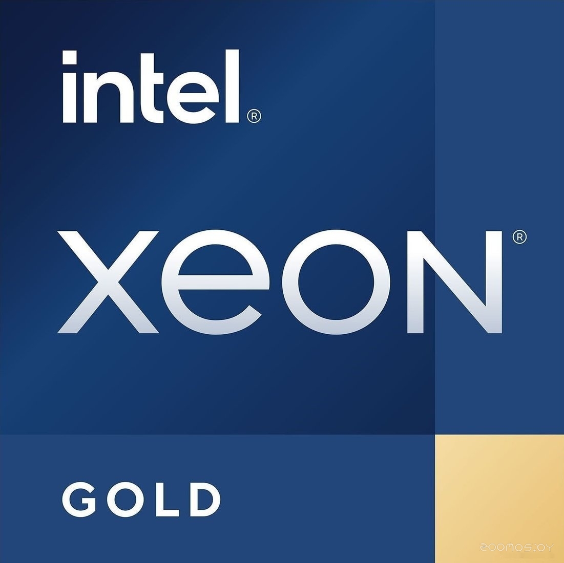 Xeon Gold 6542Y