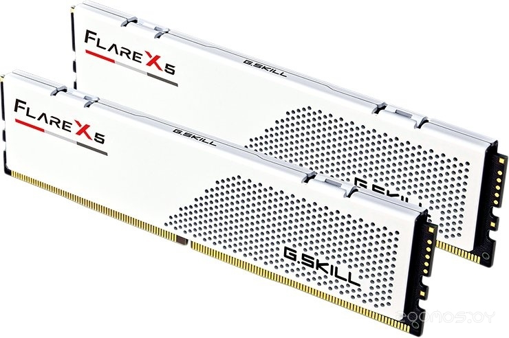 Flare X5 2x32ГБ DDR5 6000 МГц F5-6000J3636F32GX2-FX5W