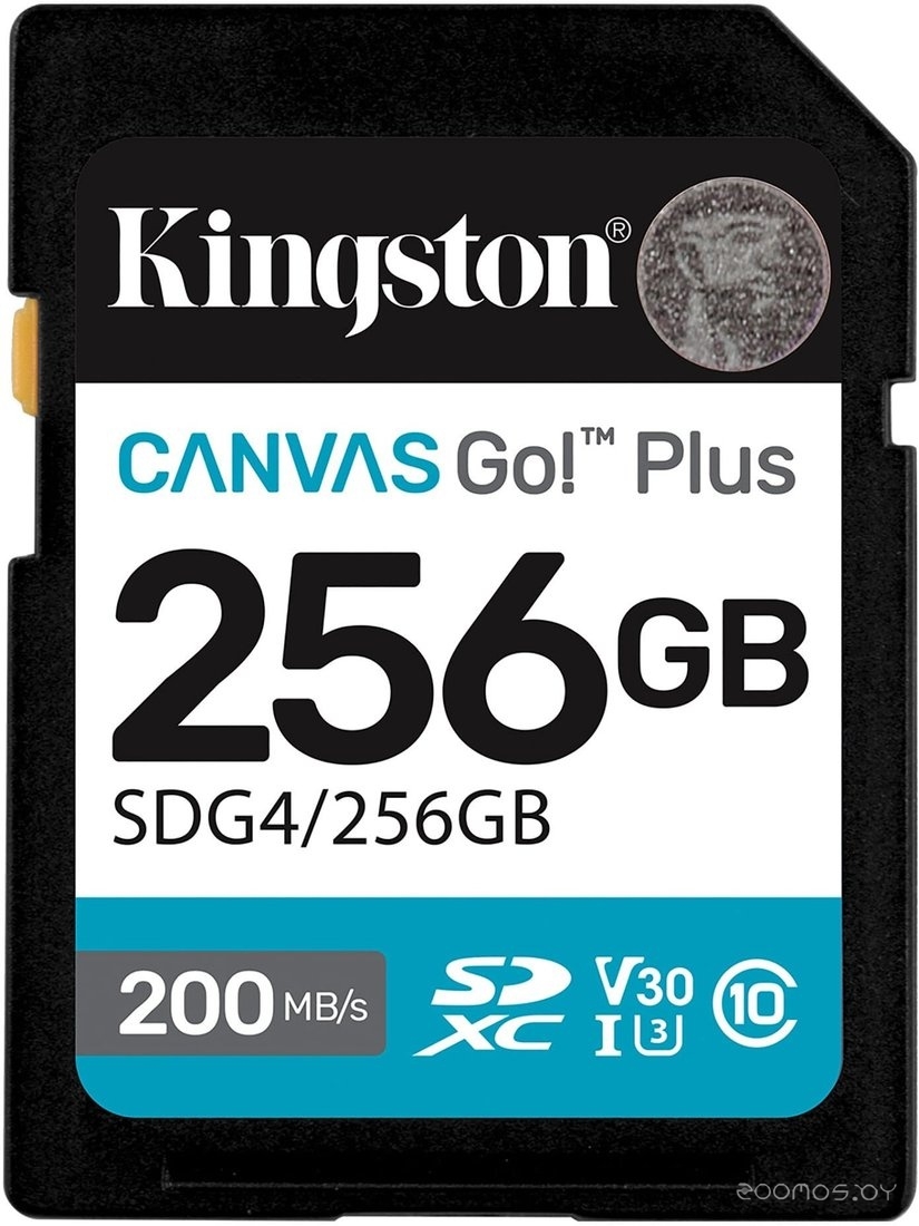 Canvas Go! Plus SDXC 256GB SDG4/256GB