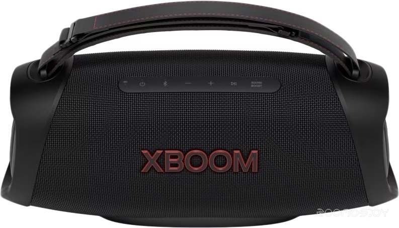 XBOOM Go XG8T